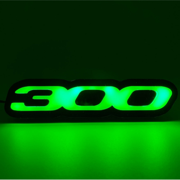 300 ILLUMINATED BADGE